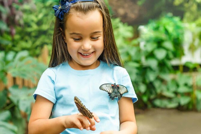 Dubai: Skip-The-Line Ticket to Butterfly Garden - Getting there and pairing it with Miracle Garden