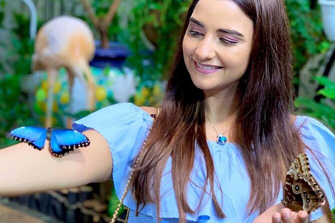 Dubai: Skip-The-Line Ticket to Butterfly Garden - Who will enjoy this most?
