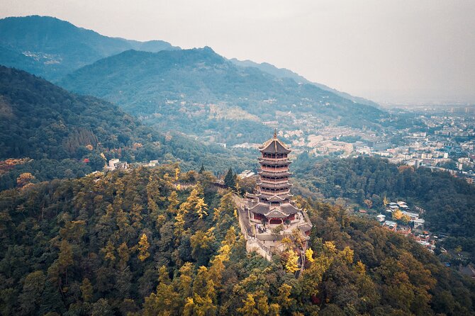 Dujiangyan Irrigation System and Panda Base Day tour - Why this makes a good Chengdu day trip