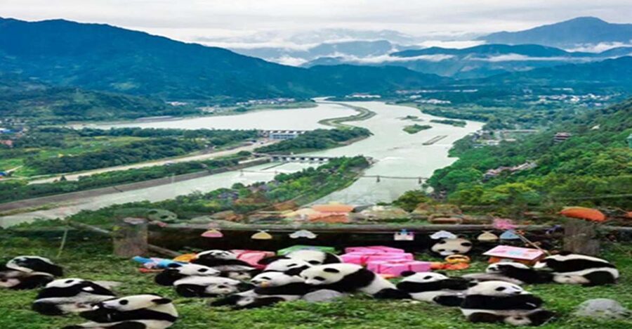 Dujiangyan panda base and irrigation system park day tour - The real strength of a private guide