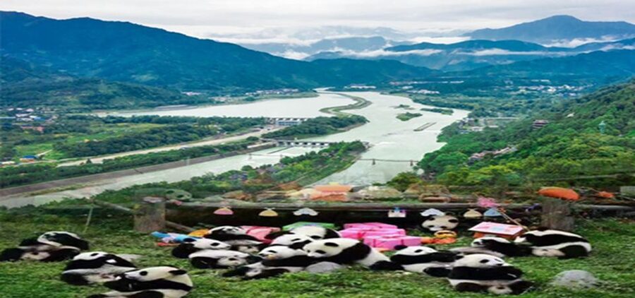 Dujiangyan panda base and irrigation system park day tour - 1:00 to 4:30 at the Dujiangyan irrigation system