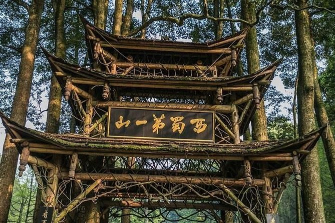 Dujiangyan Panda Base and Mount Qingcheng - Lunch, tickets, and practical planning
