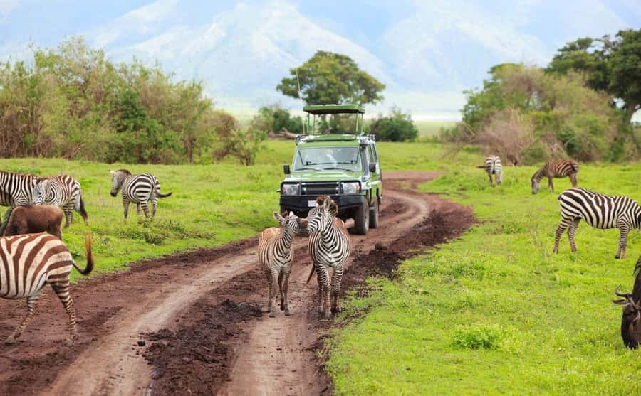 Durban: Half Day Phezulu Safari Park and Durban City Tour - Key points to know before booking