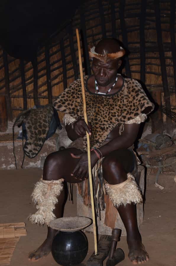Durban: Phezulu Cultural Village & Reptile Park Tour - Who will enjoy this Phezulu tour?