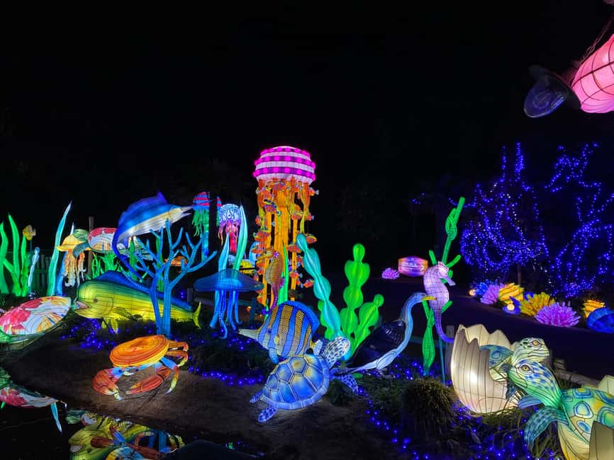 Edinburgh: Edinburgh Zoo Giant Lanterns Entry Tickets - Choosing the best night