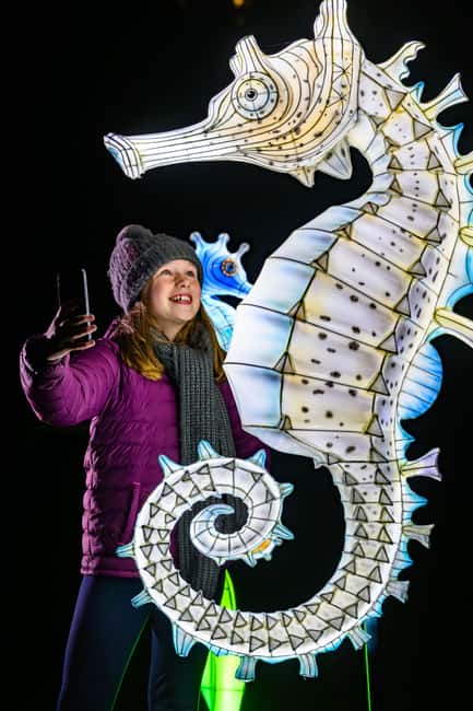 Edinburgh: Edinburgh Zoo Giant Lanterns Entry Tickets - Food, drinks, and the winter mood
