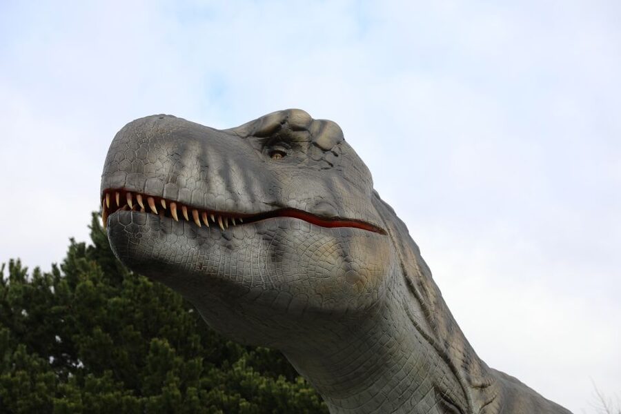 Edinburgh Zoo Entrance Ticket - Koalas, sloths, giraffes, and other headline animals