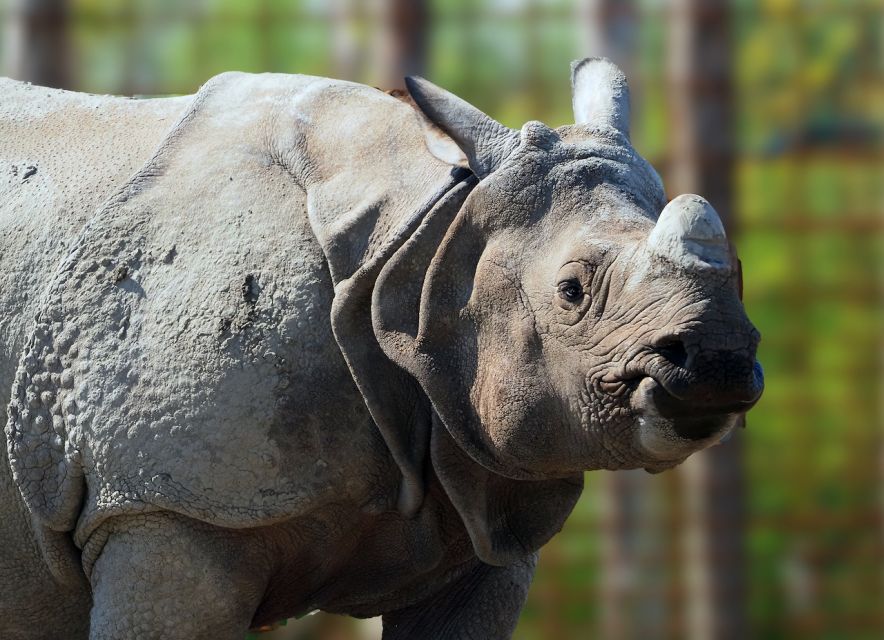 Eindhoven Zoo Entry Ticket - What a day at Eindhoven Zoo feels like