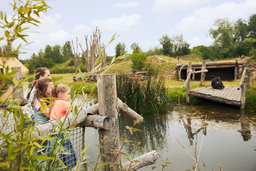 Eindhoven Zoo Entry Ticket - The playgrounds make this a better family day
