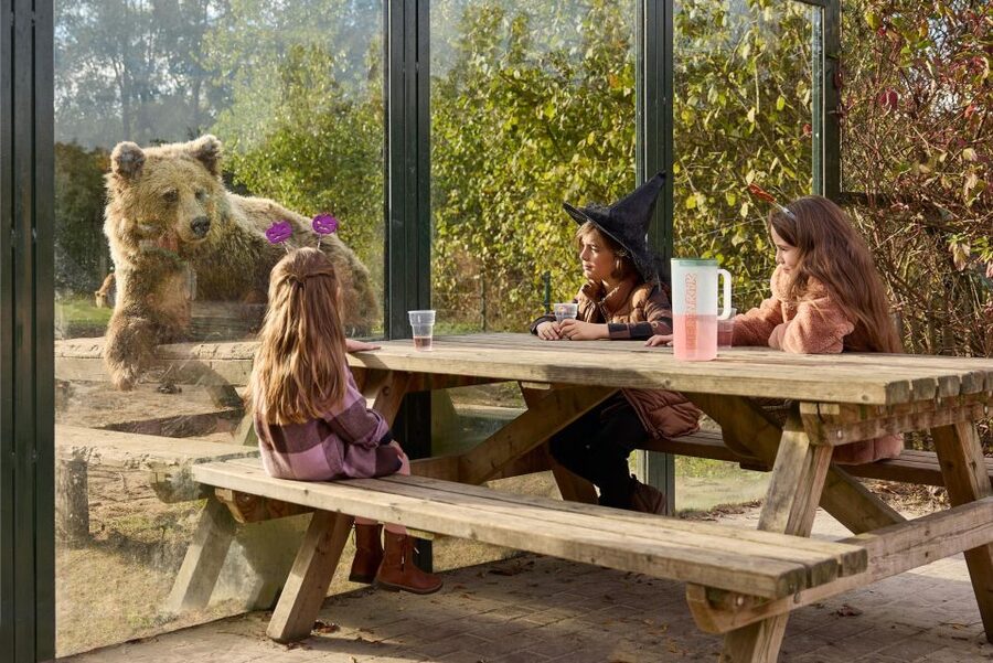 Eindhoven Zoo Entry Ticket - How long you need and how to pace the route