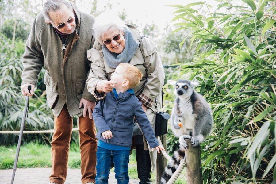 Eindhoven Zoo Entry Ticket - Practical details that affect your visit