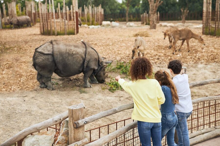 Eindhoven Zoo Entry Ticket - Tigers, lions, and rhinos are the main animal draw
