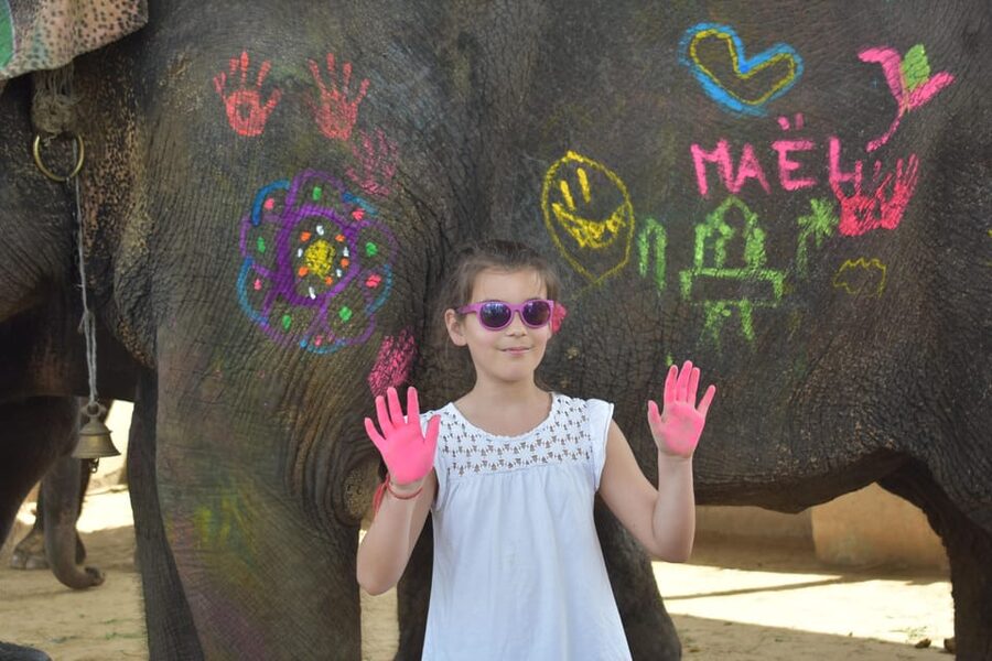 Elefun Best Elephant Sanctuary in Jaipur - What to bring to the sanctuary