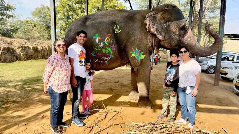 Elefun Best Elephant Sanctuary in Jaipur - What $60 buys you