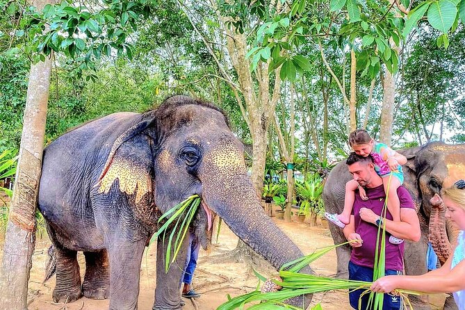 Elephant Nature Care, the largest elephant sanctuary on Koh Samui - Water, mud, and bath time