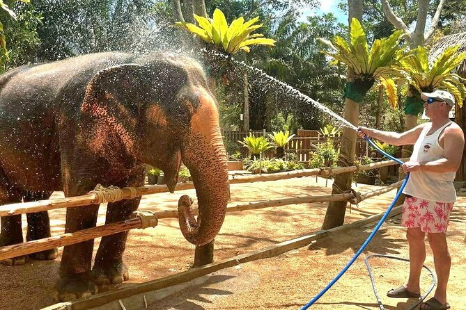 Elephant Nature Care, the largest elephant sanctuary on Koh Samui - A simple vegetarian meal and useful extras