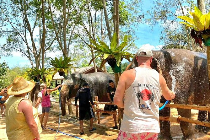 Elephant Nature Care, the largest elephant sanctuary on Koh Samui - How ethical is this elephant experience?