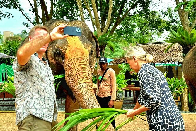 Elephant Nature Care, the largest elephant sanctuary on Koh Samui - Is $96.20 a fair price?
