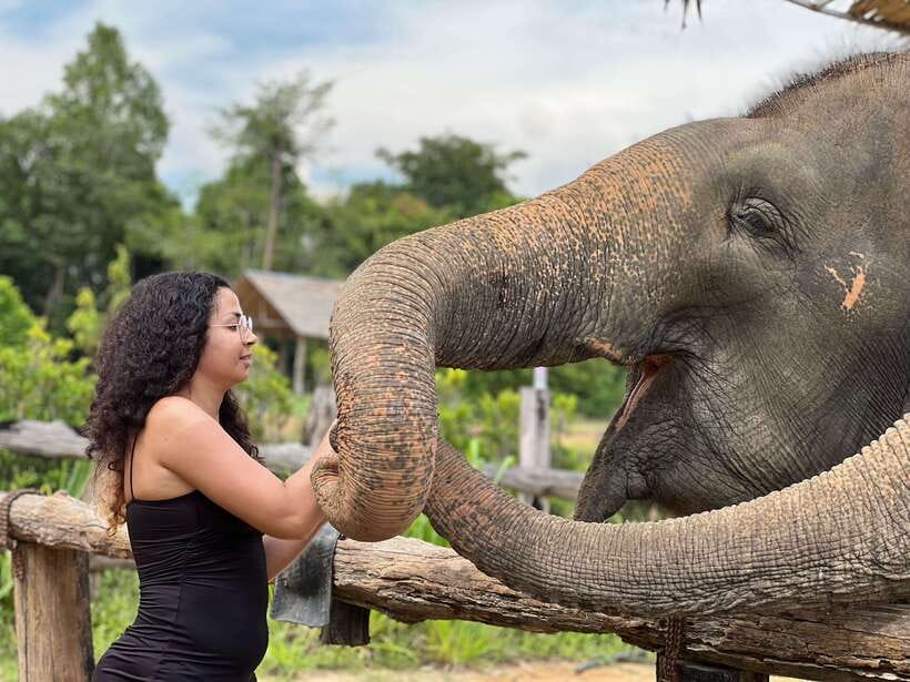 Elephant Sanctuary Cambodia, Pickup and drop off included - Key points to know before you go