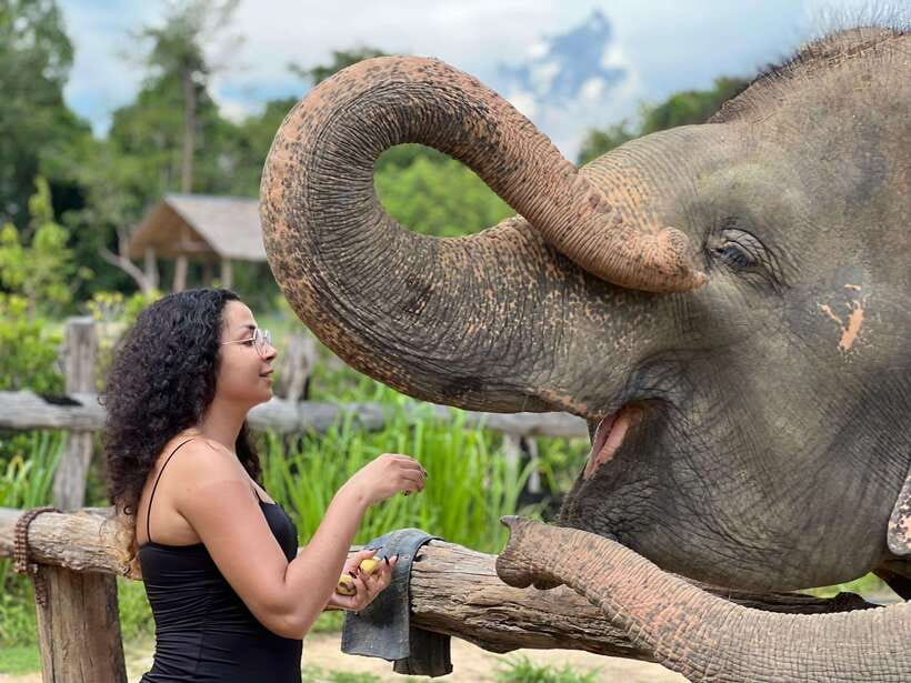 Elephant Sanctuary Cambodia, Pickup and drop off included - A countryside start from Siem Reap