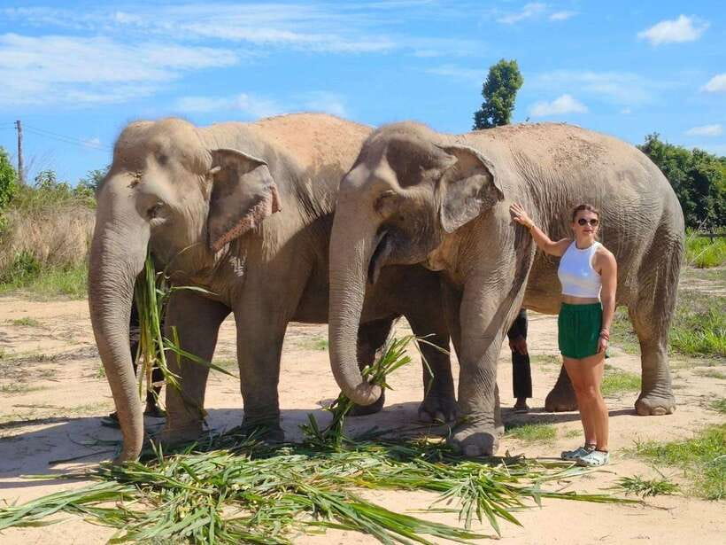 Elephant Sanctuary Cambodia, Pickup and drop off included - Is $58 a good value?