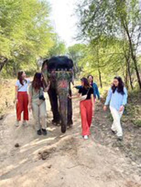 Elephant Sanctuary for Best elephant experience in Jaipur - Key points to know before booking
