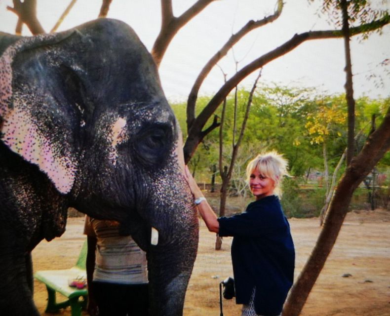 Elephant Sanctuary for Best elephant experience in Jaipur - Hotel pickup and the ride from Jaipur