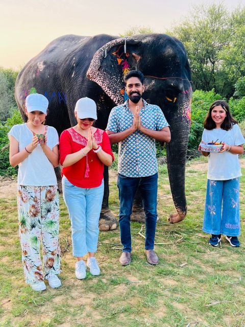 Elephant Sanctuary for Best elephant experience in Jaipur - Tea, juice, and what to bring