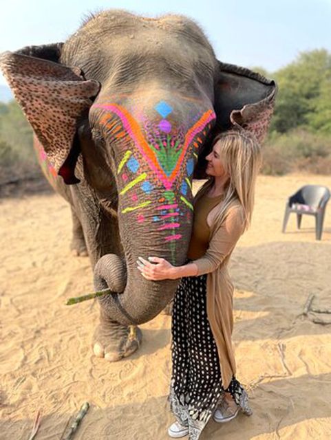 Elephant Sanctuary for Best elephant experience in Jaipur - Is $62 per person good value?