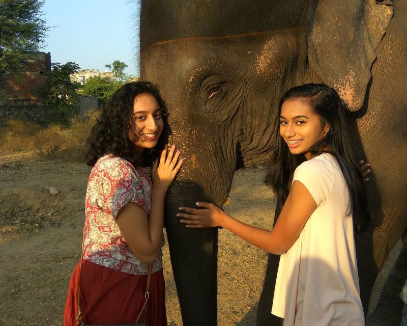 Elephant Sanctuary for Best elephant experience in Jaipur - Who will enjoy this sanctuary most?