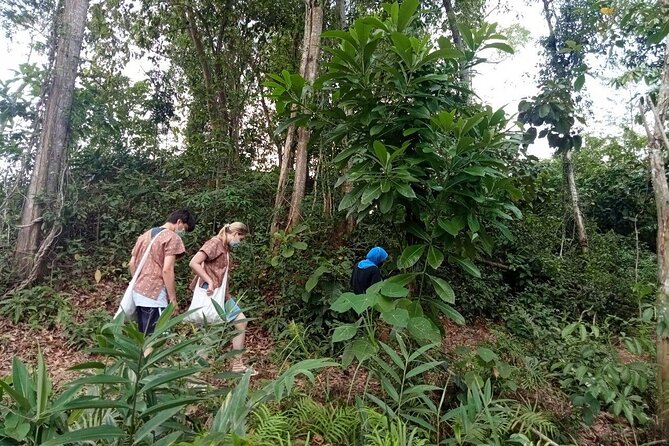 Elephant Sanctuary Small Group Tour in Phuket - Meeting rescued elephants above Phuket