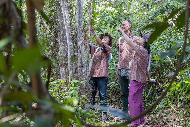 Elephant Sanctuary Small Group Tour in Phuket - A basic sanctuary with a calm atmosphere