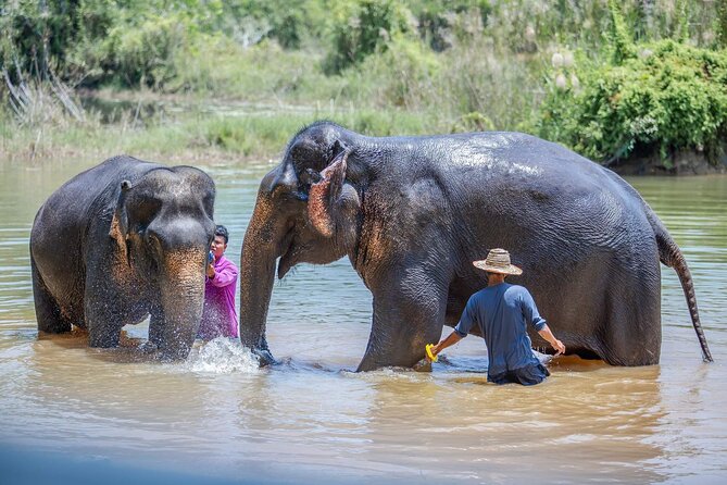Elephant Sanctuary Small Group Tour in Phuket - Lunch and refreshments complete the half-day