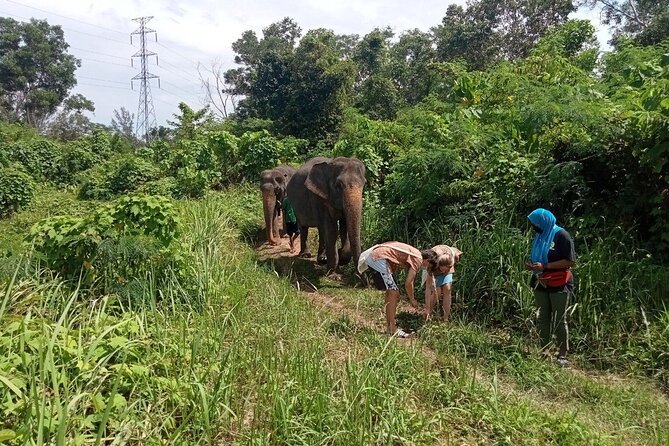 Elephant Sanctuary Small Group Tour in Phuket - Who will enjoy this elephant visit most?