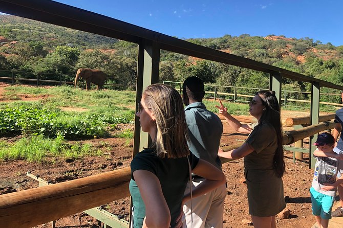 Elephant Sanctuary Tour from Johannesburg - Walking beside elephants