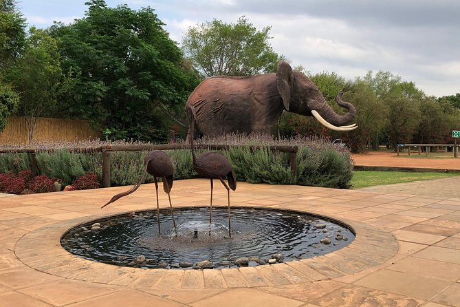Elephant Sanctuary Tour from Johannesburg - Who will enjoy this five-hour outing?