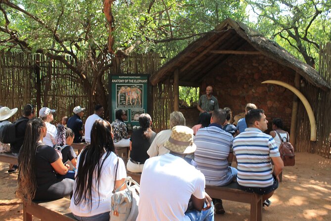Elephant Sanctuary Tour from Johannesburg - Should you book the elephant sanctuary tour?