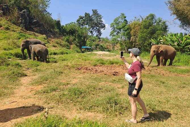 Elephant Sanctuary, Wat Ban Den & Sticky Waterfall - Booking and practical details