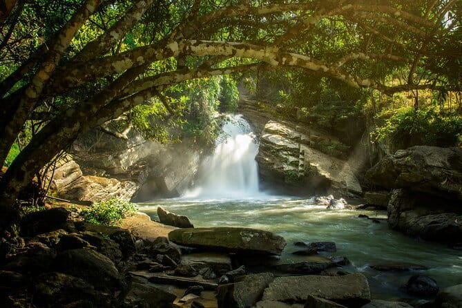 Elephant Sanctuary + Waterfall + Bamboo Rafting One Day Trip - A full day from Chiang Mai to Mae Wang