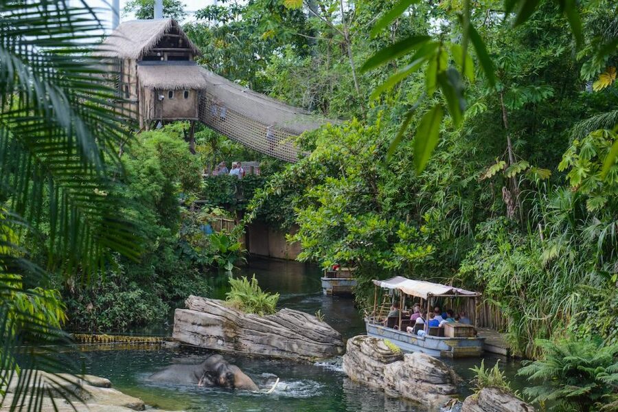 Emmen: Wildlands Adventure Zoo and Rimbula River Boat Ride - Who will enjoy Wildlands most?