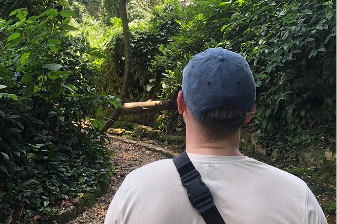Entebbe Walking Tour (3 Hours) with Zoo and Botanical Gardens Options - Entebbe Crafts Village and the human side of the city