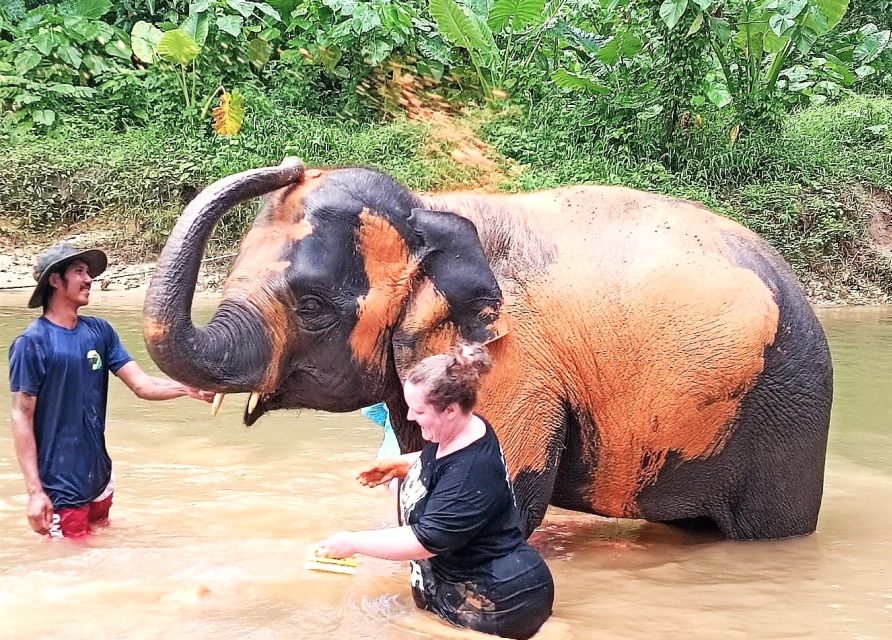 Ethical Elephant Sanctuary Experience in Khao Lak - Why the no-contact policy matters
