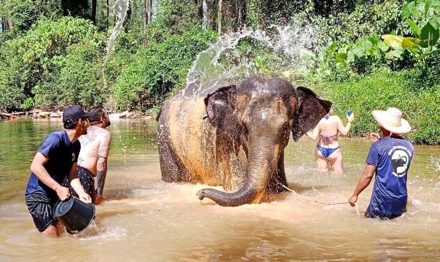 Ethical Elephant Sanctuary Experience in Khao Lak - What the experience does not promise