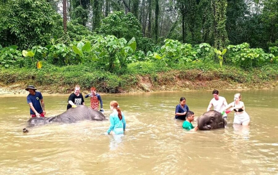 Ethical Elephant Sanctuary Experience in Khao Lak - The 30-minute ride from Khao Lak