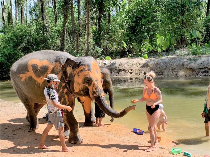 Ethical Elephant Sanctuary Experience in Khao Lak - Preparing an herbal supplement for elephants
