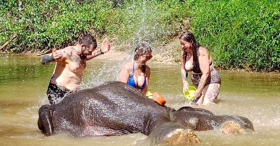 Ethical Elephant Sanctuary Experience in Khao Lak - Meeting elephants as individuals