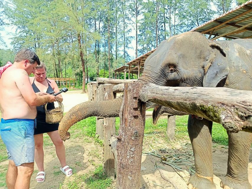 Ethical Elephant Sanctuary Experience in Khao Lak - Ya Dom and Khanom Krok