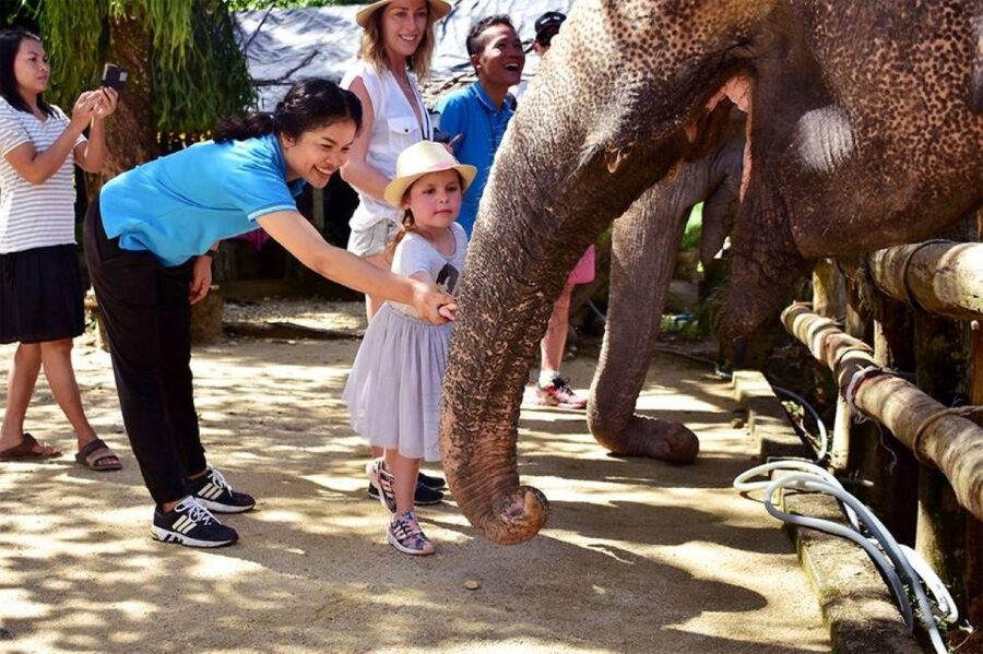 Ethical Elephant Sanctuary Experience in Khao Lak - How the $56 price works out