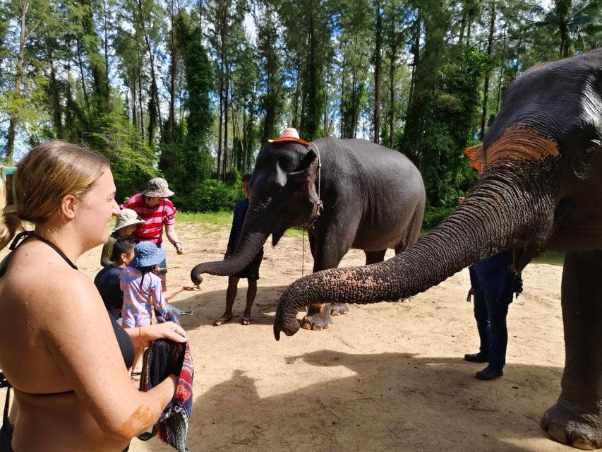 Ethical Elephant Sanctuary Experience in Khao Lak - Who will enjoy this visit most