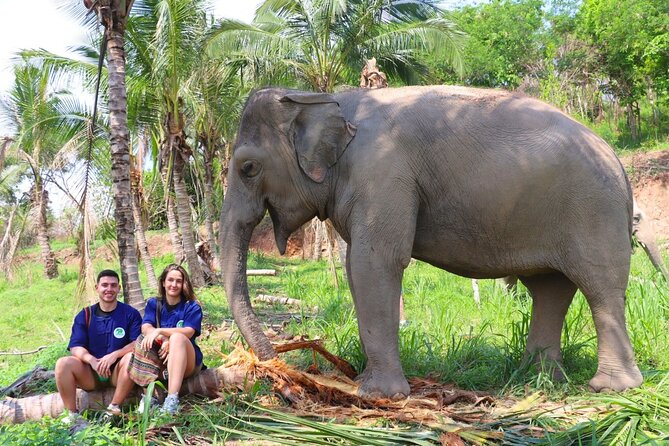 Ethical Elephant Sanctuary Tour from Bangkok & Pattaya - Key points to know before you book